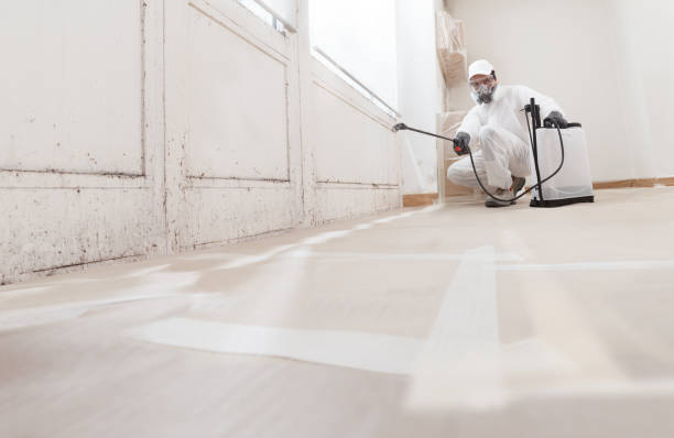 24/7 Emergency Bathroom Mold Removal experts in Gordonville, PA
